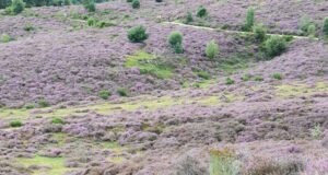 Terugblik SAG netwerkbijeenkomst Veluwe & Oost Gelderland